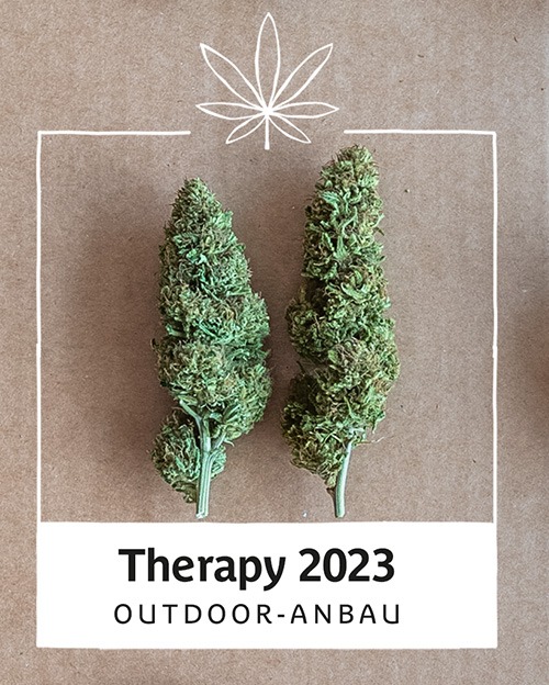 Therapy23