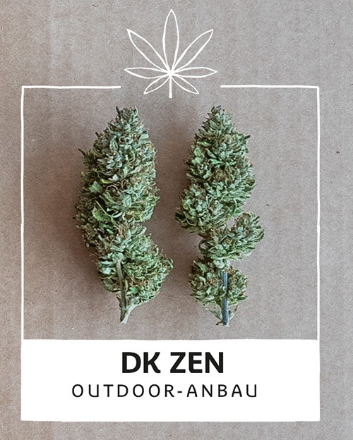 dk-Zen